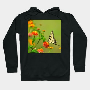 Flower Feeding Butterfly Hoodie